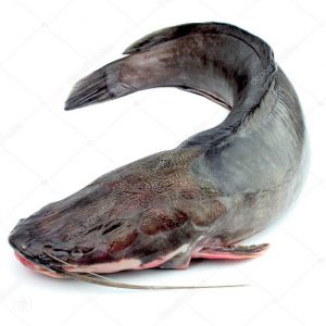 Fresh Frozen Catfish