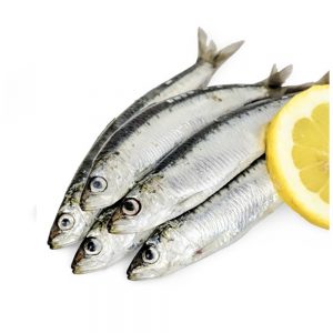 Frozen Sardine Fish