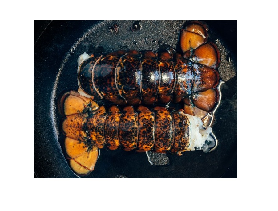 Maine Lobster Tails 1 Maine Lobster Tails